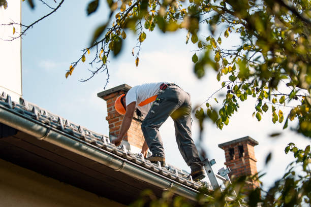 Best Metal Roofing Contractor  in Ellsworth, KS